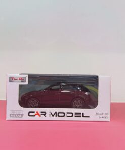 Mini Car Model