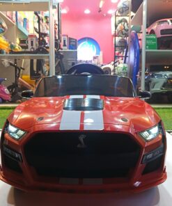 Alternative view of Ford