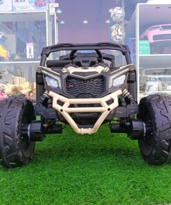 Alternative view of Can-Am