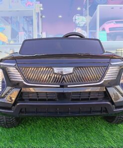 Alternative view of Cadillac Escalade IQ