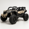 Can-Am